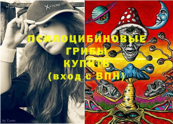 не бодяженный Аркадак
