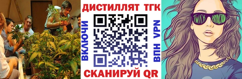 ТГК THC oil  купить наркотики сайты  ссылка на мегу ТОР  Ртищево 
